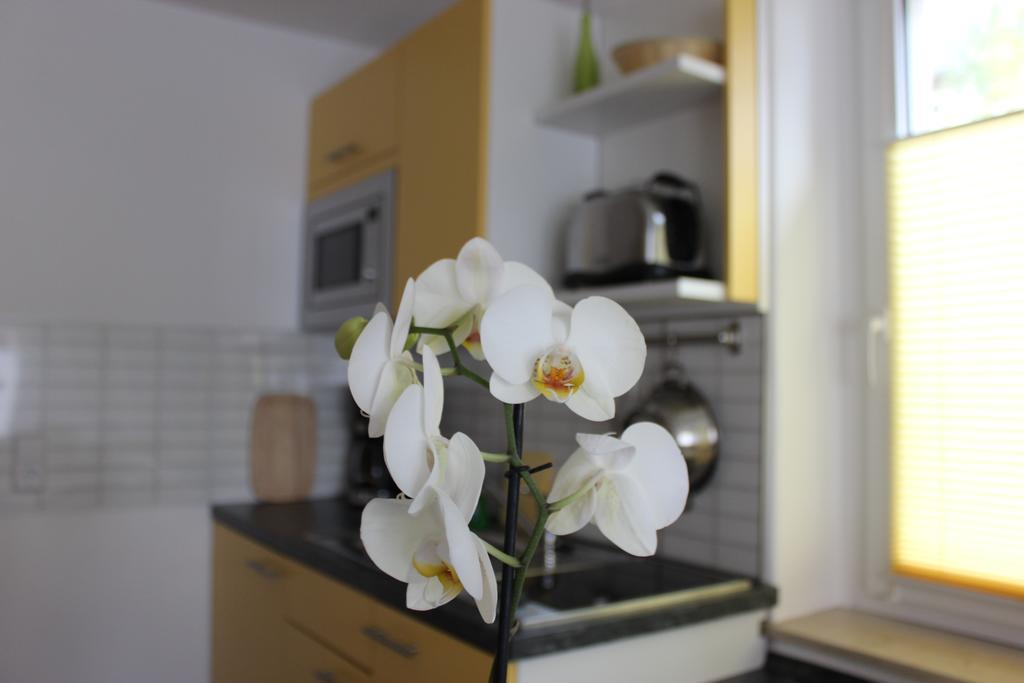 Weber Apartments Drezno Zewnętrze zdjęcie